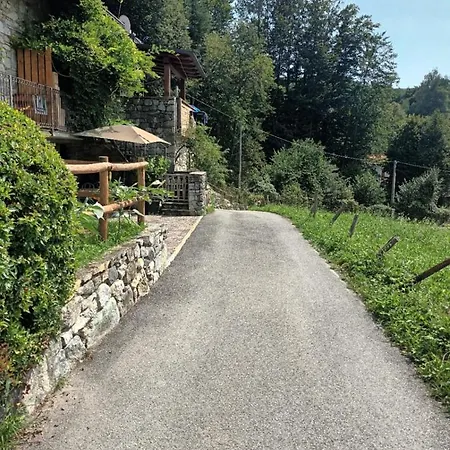 Of Grandfather Chek *