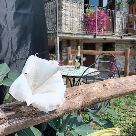 Vakantiehuis Of Grandfather Chek Bellagio